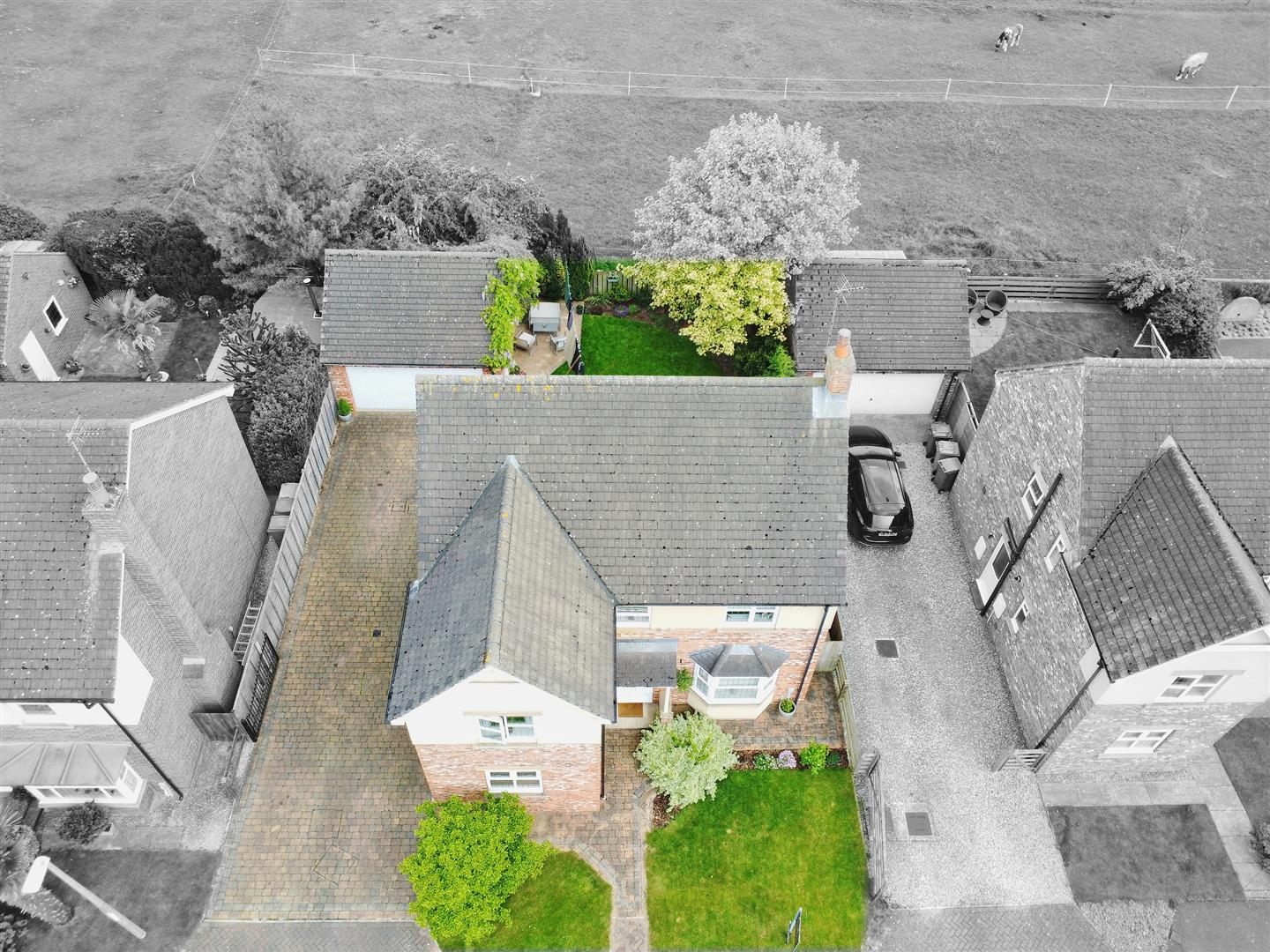 The Bryants, Leven